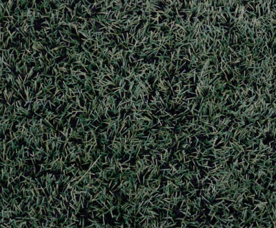 Best Artificial Grass Suppliers