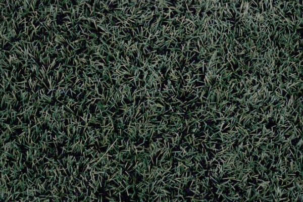 Best Artificial Grass Suppliers